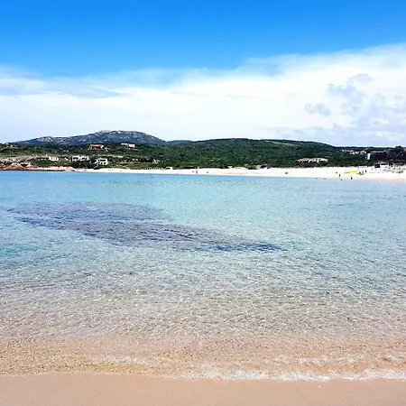 Appartamento Affittimoderni Isola Rossa Elite-pati24